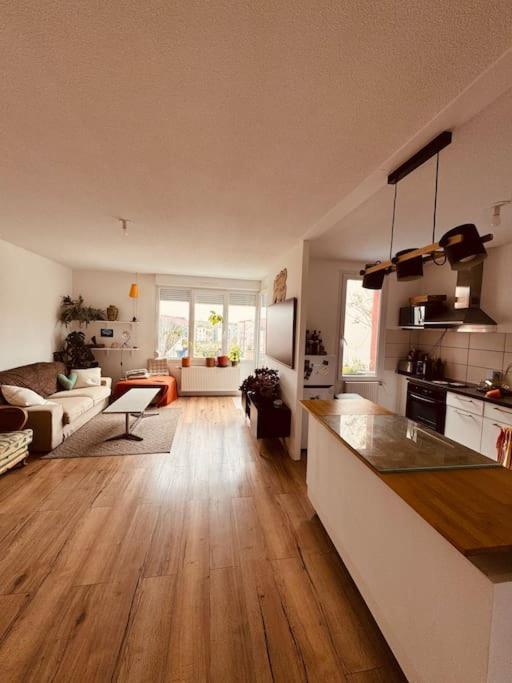 Bel Appartement Proche Mulhouse Pfastatt Exterior photo